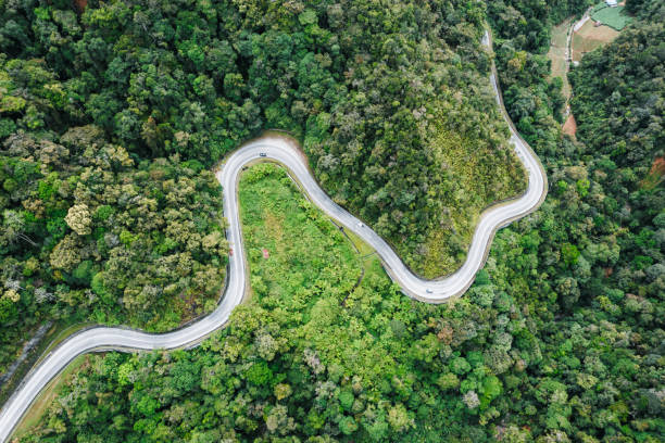 aerial landscape of winding road in the rainforest - vista aérea de carro isolado imagens e fotografias de stock