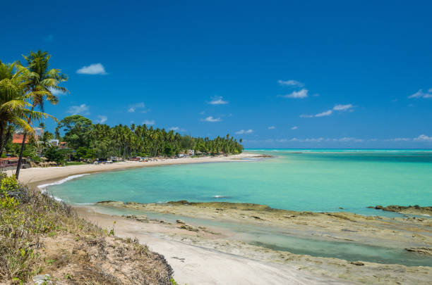 istock Gorgeous view of Maragogi beach 1190741697