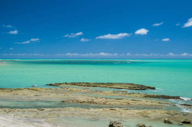 istock Gorgeous view of Maragogi beach 1190741723