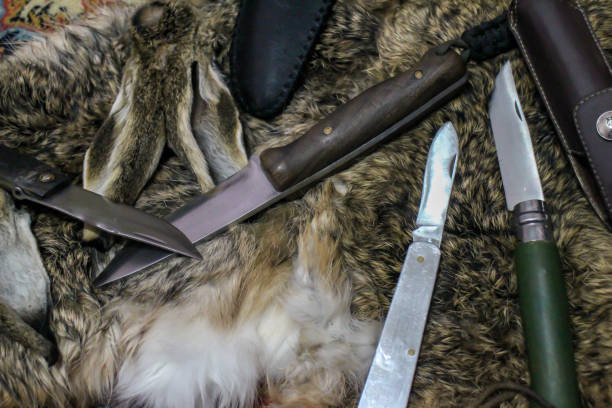 istock Knife and cover on the Fur 1190742717