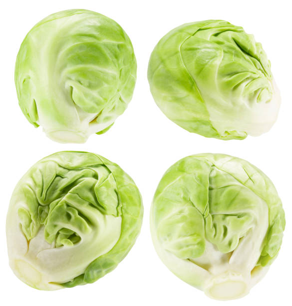 istock collection of brussels sprouts isolated on a white background 1190742799