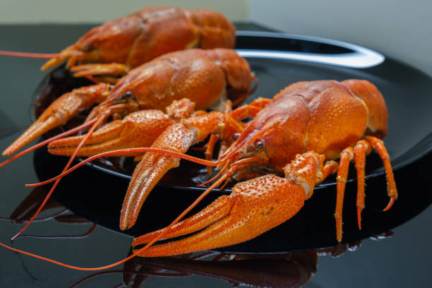 istock Fresh boiled crayfish on a black plate. 1190748428