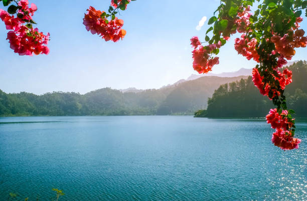 istock Ngebel lake with beautiful scenery 1190749063