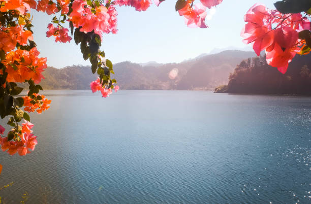 istock Ngebel lake with beautiful scenery 1190749065