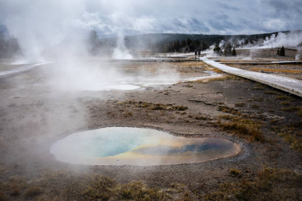 istock Hot environment inside geyser basins area of Yellowstone. 1190749193