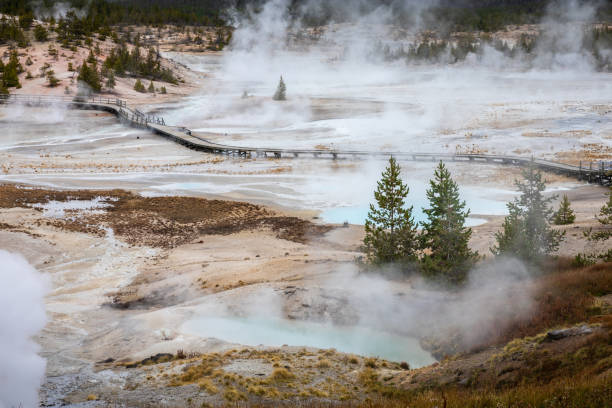 Hot environment inside geyser basins area of Yellowstone. Aerial of hot environment with smoke surrounding by boardwalk for observation the geyser basins of Norris Geyser Basin, Yellowstone National Park, Wyoming, USA. norris geyser basin photos stock pictures, royalty-free photos & images
