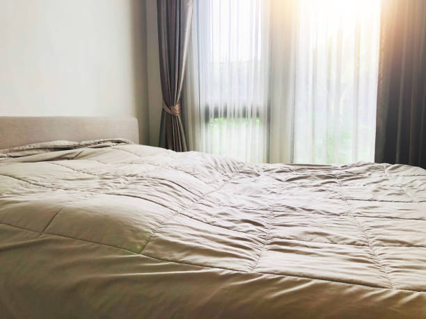 istock Bedroom modern minimalist style gray bed with large windows. 1190753429