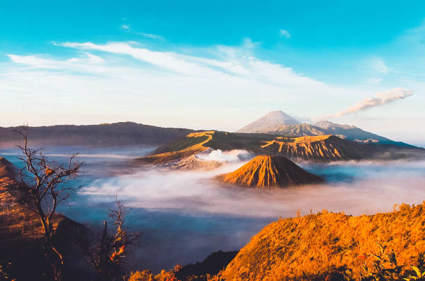 istock The beauty mount bromo at sunrise 1190754393