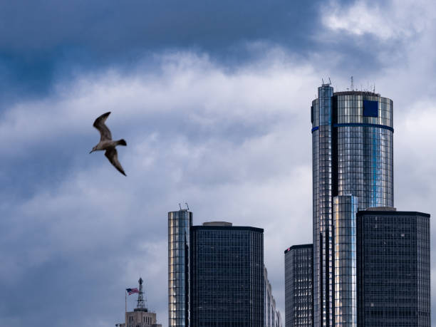 istock Detroit, Michigan - Seagull 1190755411