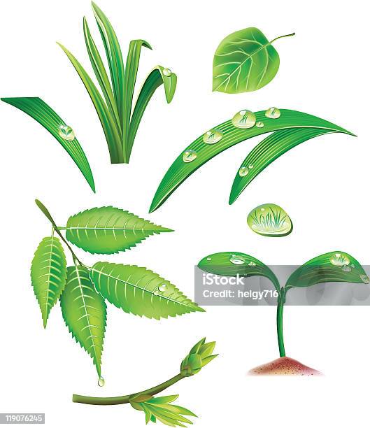 Satz Der Grüne Blätter Und Gras Stock Vektor Art und mehr Bilder von Ast - Pflanzenbestandteil - Ast - Pflanzenbestandteil, Baum, Blatt - Pflanzenbestandteile