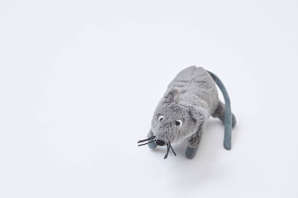 マウスの用紙バルーン。2020年年年元札 - 紙風船 ストックフォトと画像