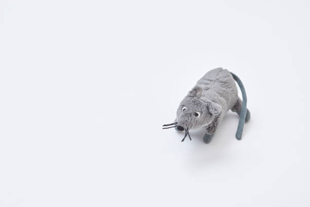 マウスの用紙バルーン。2020年年年元札 - 紙風船 ストックフォトと画像
