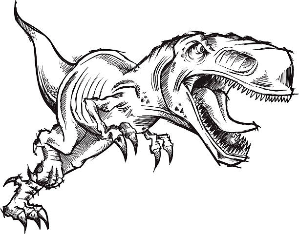 Doodle Sketch Tyrannosaurus Dinosaur vector art illustration