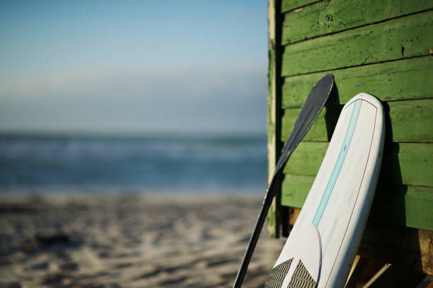 paddle board i wiosło na plaży z bliska - surf scene zdjęcia i obrazy z banku zdjęć