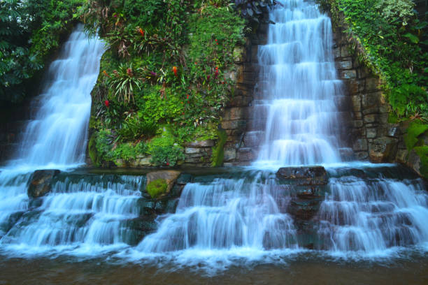 wodospady nashville - tennessee waterfall stream forest zdjęcia i obrazy z banku zdjęć