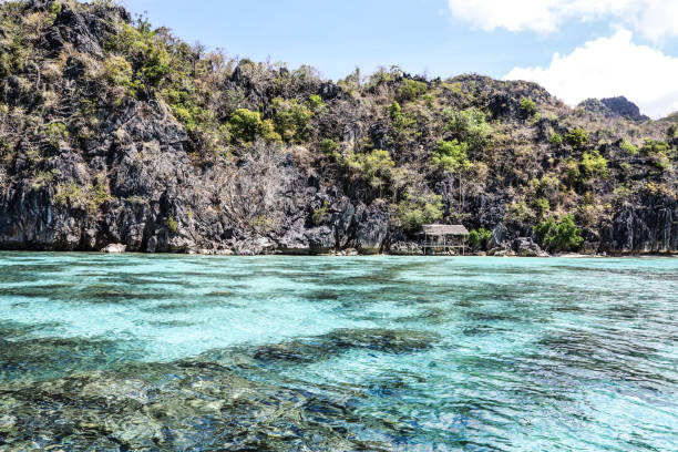 istock Philippines Coron Malwawey Coral Garden 1190783000