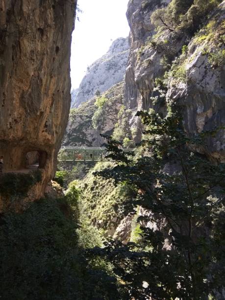 istock Cares route, Asturias, Spain 1190783461