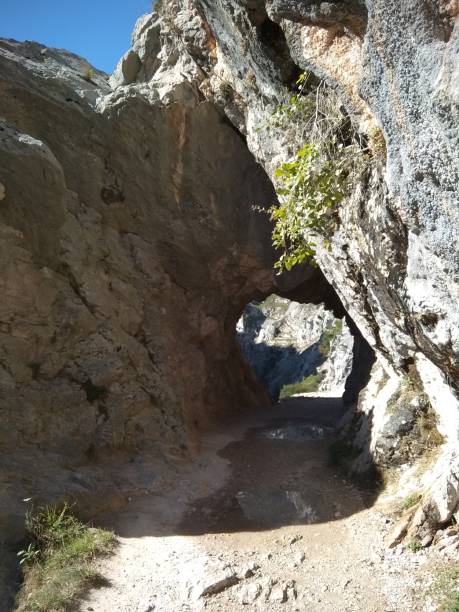 istock Cares route, Asturias, Spain 1190783468