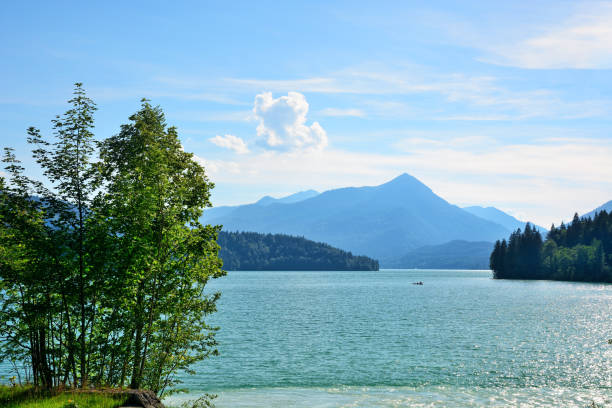 istock Walchensee Lake in Bavaria 1190785080