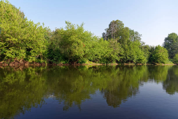 istock Loire river bank 1190785688