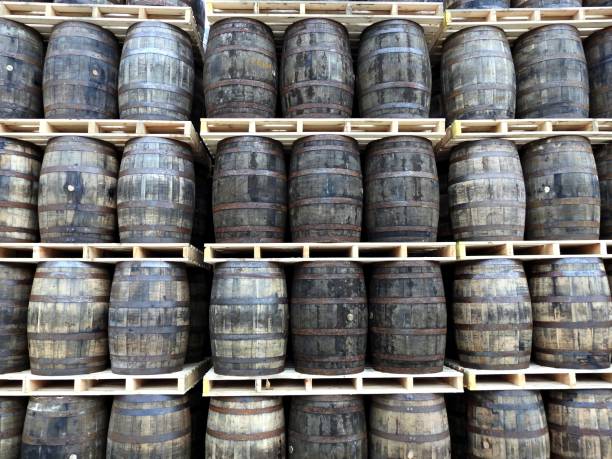 barils de whisky - oak barrel photos et images de collection