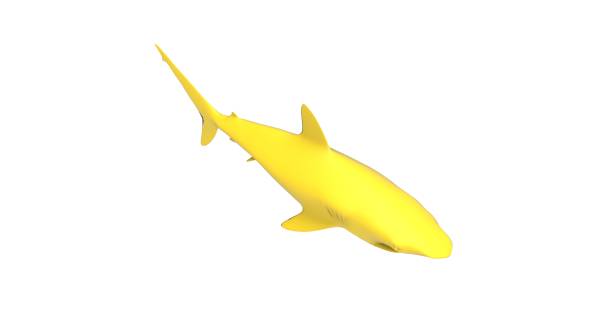 istock Black Shark on Yellow Background 3D Rendering 1190788160