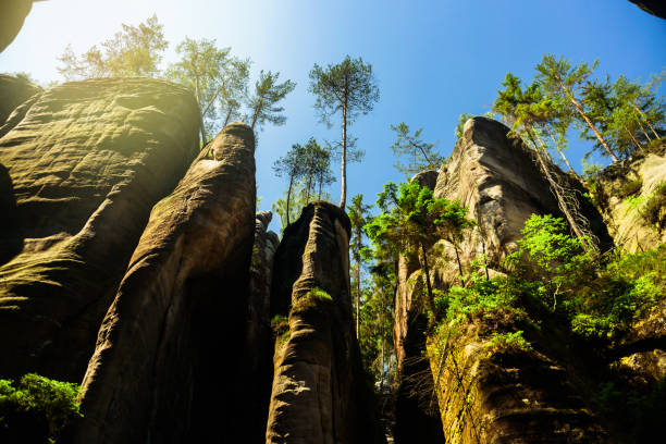 Remains of rock city in Adrspach Rocks, part of Adrspach-Teplice landscape park in Czech Republic