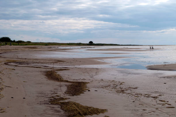istock View along beach with seaweed at low tide 1190804594