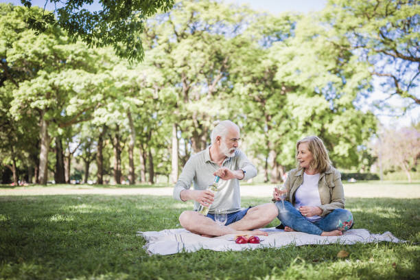 istock Senior couple on picnic 1190806244