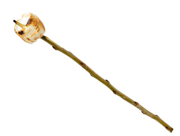 toasted marshmallow on wooden stick