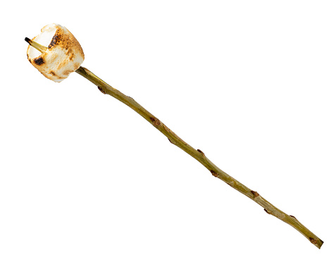 toasted marshmallow on wooden stick isolated on white background