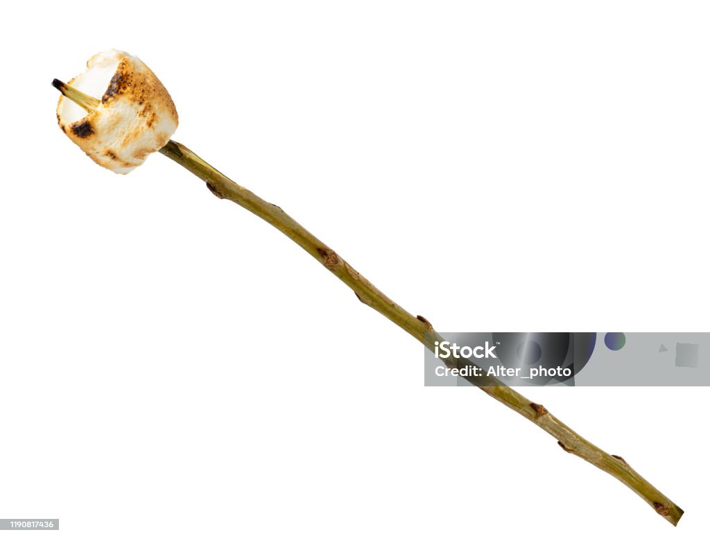 Toasted Marshmallow On Wooden Stick Stock Photo - Download Image Now -  Marshmallow, Stick - Plant Part, Roasted - iStock
