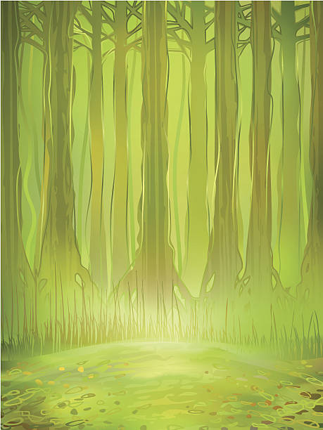 Dense green rainforest Watercolour-stylized realistic vector of a dense green jungle forest in the background and a small sunlit clearing in the foreground (.AI 10 version included, other landscapes are in my gallery) Glade stock illustrations