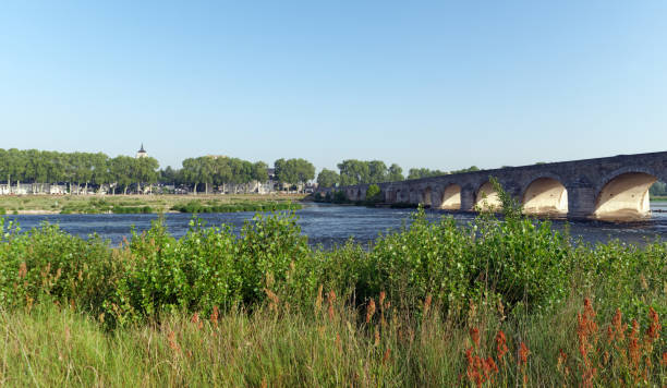 istock Beaugency old bridge and Loire river bank 1190820193