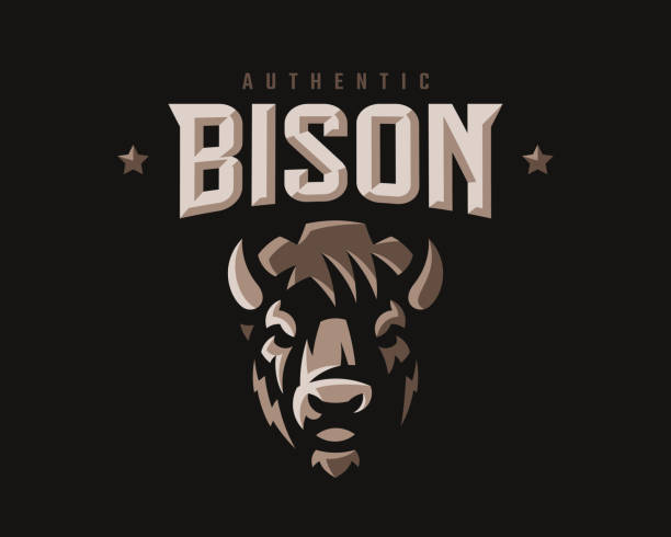 ilustrações de stock, clip art, desenhos animados e ícones de bison modern mascot logo. bull emblem design editable for your business. vector illustration. - bisonte