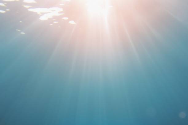 lumière du soleil donnant la vie sous l'eau. rayons de soleil brillant sous l'eau . contexte abstrait - scuba diving flash photos et images de collection