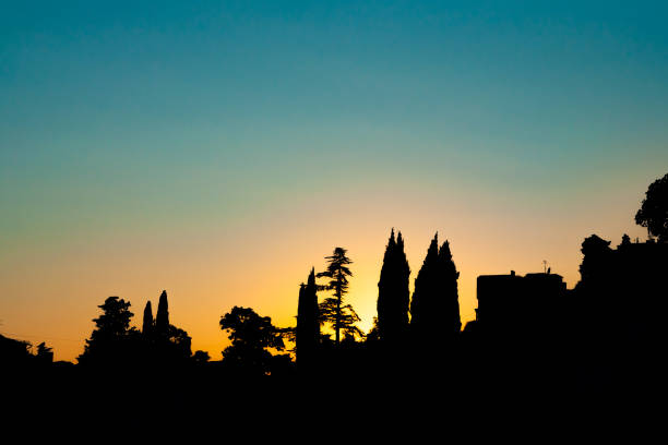 City sunset sky. Beautiful scenic evening time over city skyline. Colorful sundown. Clear calm weather at dusk