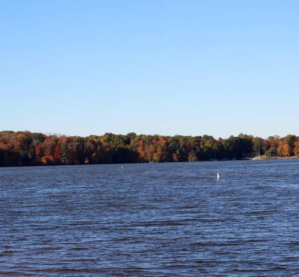istock Lakeside View of the Lake 1190827844
