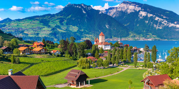 Spiez Church and Castle, Switzerland Aerial panoramic view of Spiez Church and Castle on the shore of Lake Thun in the Swiss canton of Bern at sunset, Spiez, Switzerland. lake thun stock pictures, royalty-free photos & images