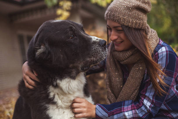 istock Her senior dog is her best friend 1190833456