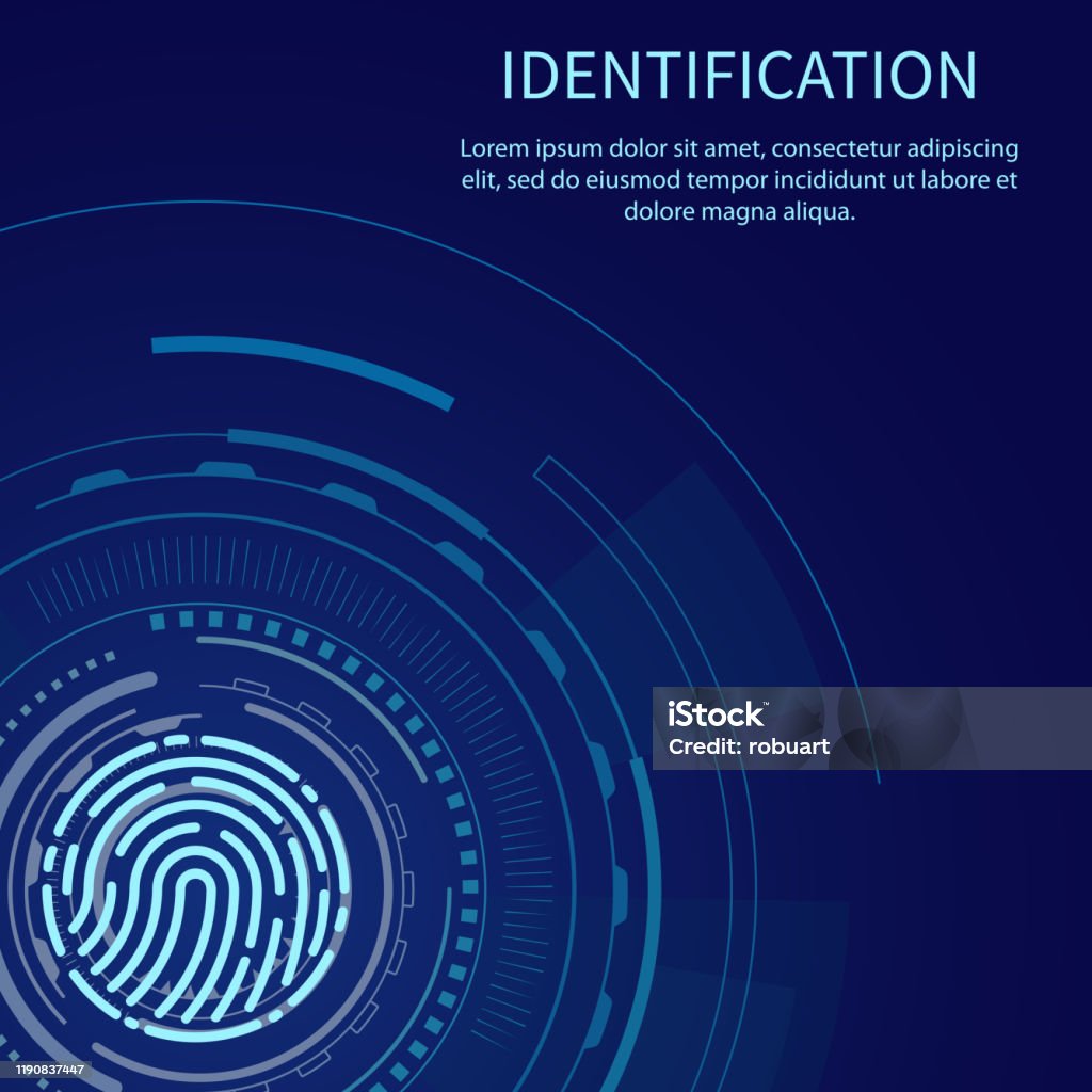 Sample Identification Sign Identification Poster With Text Sample Vector Stock Illustration ...