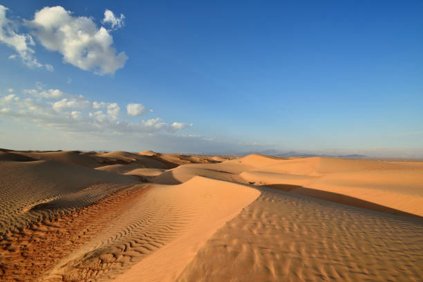 wüste im oman - liwa desert stock-fotos und bilder