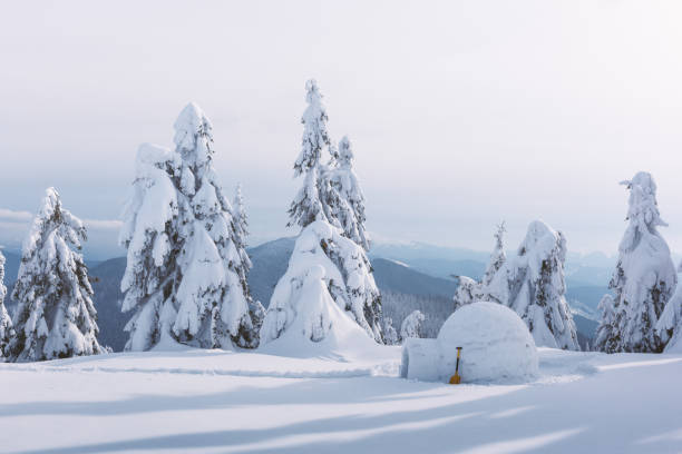 istock Real snow igloo house in the winter Carpathian mountains 1190841634