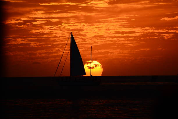 istock Spring time in the Florida Keys 1190846939