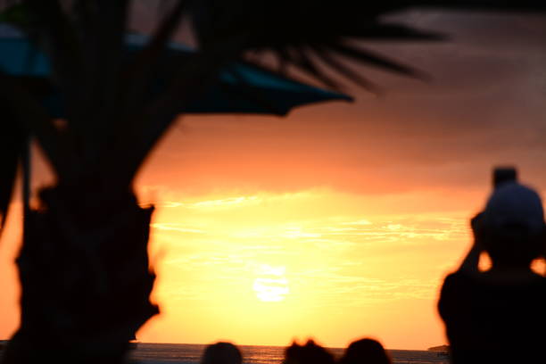 images of key West, key Largo and keys of Florida