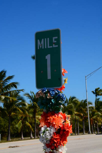 istock Spring time in the Florida Keys 1190847477