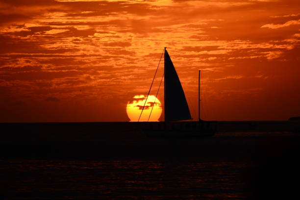 istock Spring time in the Florida Keys 1190847542