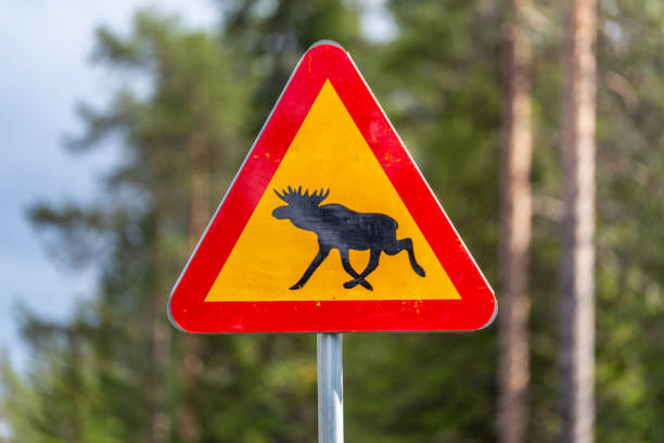 A roadside sign warning drivers warning Elk are present alongside the road.
