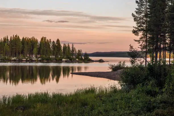 Sunset in marshland and pines surrounded by the mountains of the Muddus national park, Norrbotten County, Swedish Lapland