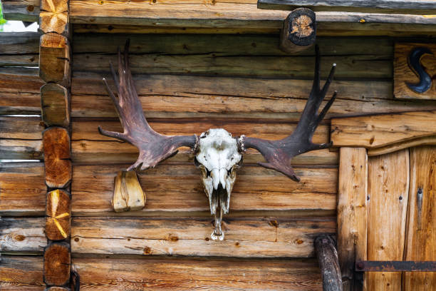 istock Sweden autumn nature 1190853642